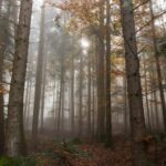 combien de temps dure le silence d'un homme 